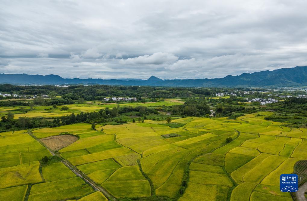 打鱼送分